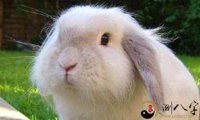 在梦中上嘴唇变为三瓣嘴的奇异经历：揭示潜意识的神秘符号意义