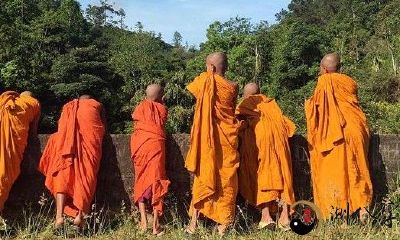 在梦中观望高山之巅的问答与禅师相遇