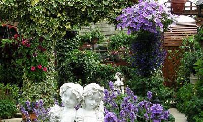 周公解梦：梦见花园，该如何解读其预示的意义与未来发展趋势？