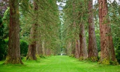 根据五行学说，探究2019年8月12日丑时出生的女孩命名起法及其五行归属