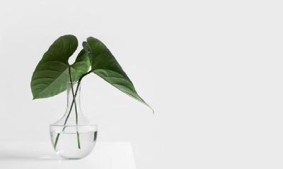 维持低调不张扬，巨蟹座一直以心之所在做事情