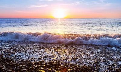 如何为2019年小年出生的女孩缺木五行配取适合的名字？