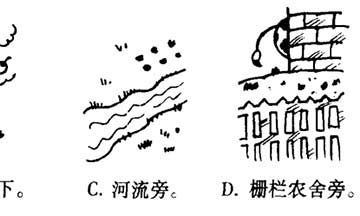 通过测验探究你在金钱方面的风险意识：财运测试