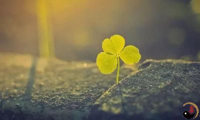 发现终极风水的秘诀：一篇深入挖掘风水学的长文