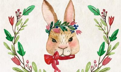 即便懂得道理，属兔人仍旧固执而弯曲的思维方式