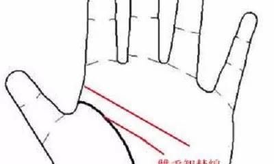 如果你具备这些难以得到的手相特征，那么你将会拥有大好运！