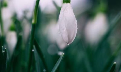 在哪些情况下，天蝎座会表现出最为蛮横的个性？