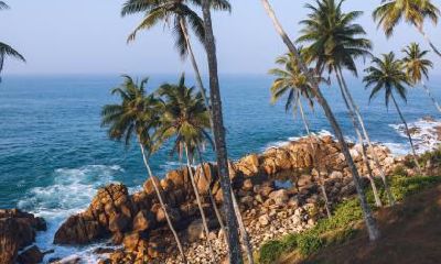 如何为出生于2019年9月10日的双胞胎女婴起名以及五行属性分析？