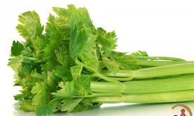 良好，暗示丰收美好前景的吉兆：田园美景中盛开芹菜，蓬勃生长的景象令人陶醉