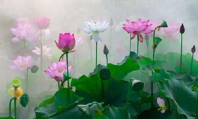 财源广进、轻松易悠的风水学：追溯玄空风水中“玄空”二字的渊源与演变历程