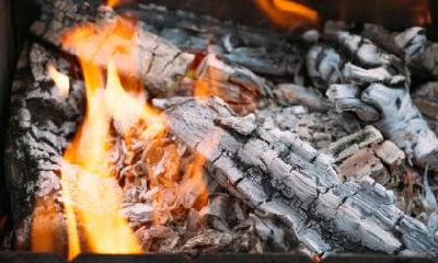 如何为2019年12月9日出生的双胞胎女婴取名，以及根据五行理论确定其属性？