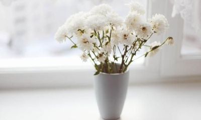 金牛座人为何往往处于疲惫不堪的生活状态？