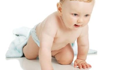 什么样的小宝宝最适合属鸡的父母：一个详尽的指南