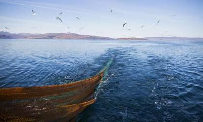 2019年8月20丑时出生的女婴，有哪些值得推荐的名字，以及她们应当属于哪种五行呢？