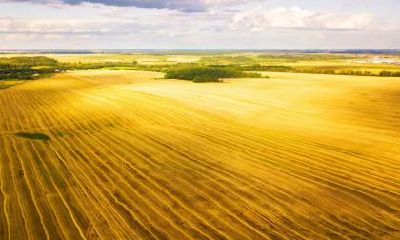 在2019年8月24日丑时出生的女婴，该如何选择名字，以及应该取什么五行属相的名字？