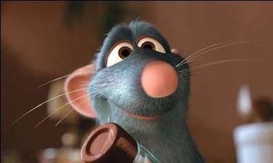 探究属相为鼠的性情和特性的全面分析