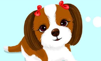 哪些生肖和属猪这一属相最搭配？寻找最佳配对！