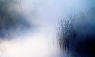 有哪些预示梦中约会对象不出现的迹象