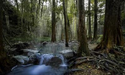 如何给2019年11月7日出生的女婴取名，并根据五行来命名？