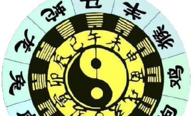 究竟如何影响你的生活状况：详细解析属虎人士购房中的风水学说与注意事项