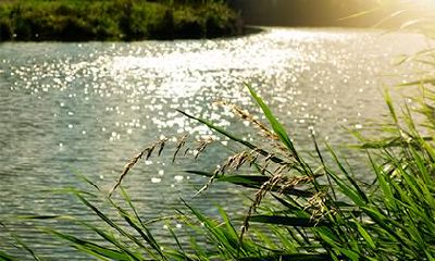 如何为2019年11月9号出生的女孩选择合适的名字与五行属性？