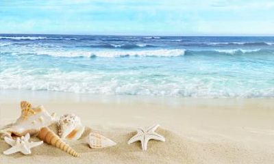 2019年9月29号寅时诞生的女孩应命名何为吉？五行属性有哪些?