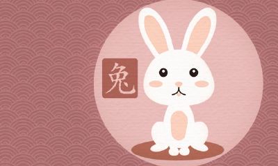 性和女性有何不同？