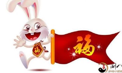 这四个生肖与你是最佳组合，因为十二生肖中最乐观豁达的猪与你志同道合