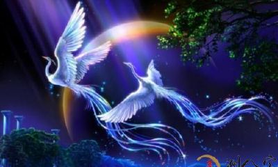梦见华丽凤凰在苍穹翱翔飞翔上升，彰显神秘力量的奇妙梦境