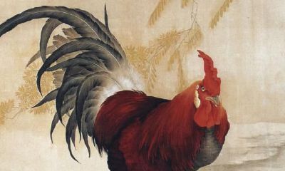 如何提高1981年出生的属鸡在命运中的表现？一份详尽的1981年属鸡运势解析！