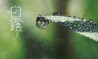 如何为在白露下午出生的女孩选择一个特别而有意义的名字？