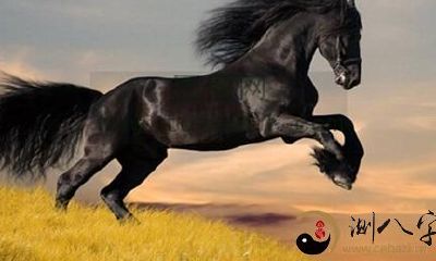 如何影响属马人1990年出生的命运？