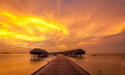 如何为2019年11月9日出生的双胞胎女孩取名？根据五行属性如何选择适宜的名字？