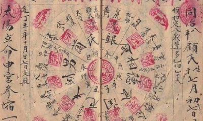 2023年属相运势详尽分析，全面探究属相为猪者的年运、财运、爱情、事业、健康等各个方面的情况！