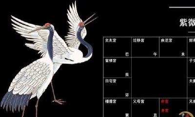 探索紫微斗数中的十二宫星盘（一）