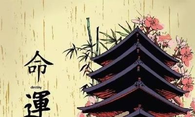 老板命与富贵命之间的利弊比较：哪个更有优势？
