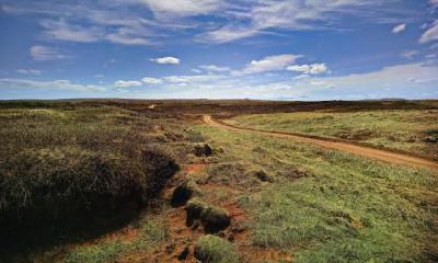 如何为2019年9月15日出生的女婴起名，且符合五行八字的排盘要求？