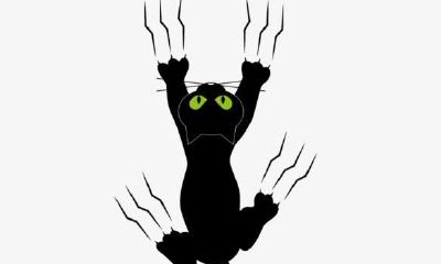 睡梦中见到自己浑身疤痕纹路的神秘体验