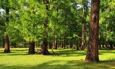 在2019年5月19日出生的女婴起什么名字才最优美动听且符合五行属相？