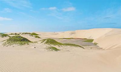 如何给2019年八月初六出生的女宝宝选择合适的名字，根据五行理论选择适宜的属性称谓？