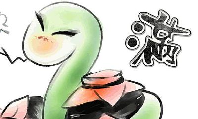 出生于此地两年的蛇属相，备受长者钟爱，获得长者珍贵财富之秘诀！