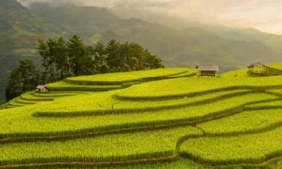 如何根据五行理论为2019年七月十六日出生的女孩选择适合的姓名？