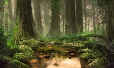 根据五行学说，如何为2019年6月3日出生的女孩命名，应该选择哪种五行属性的名字？