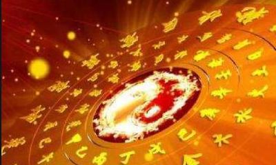 探究2019己亥年乙亥11月壬水命人的吉凶祸福及运势之变化分析