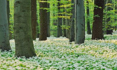 当立春日诞生的人在2023年将迎来哪些命运呢？