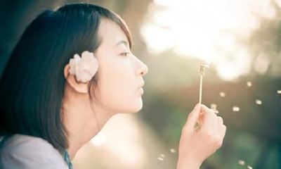 属鼠和鼠的相合程度：由于它们处于同一属级，它们的配对是否合适存在争议？