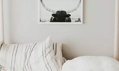 探秘2019年下半年天蝎座的综合运势：爱情、事业、财运与健康状况详细解析！