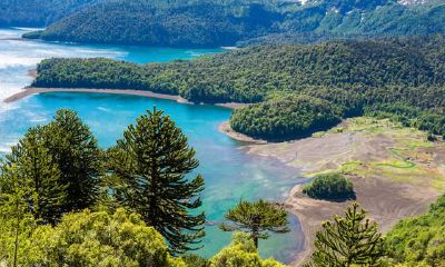 双鱼座的爱情信条：不惜头发折腰，只求长存情深，义无反顾地守望身后的爱情