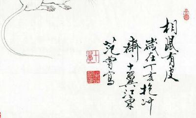 探究属相鼠的隐藏特质：在十二生肖讲堂中揭秘暴富时机