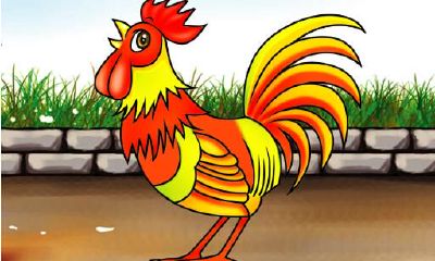 鸡年生肖人的综合运势分析：吉凶各半，详解不同出生年份对运势的影响